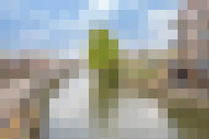 Lauwerecht 103 Utrecht thumbnail 54