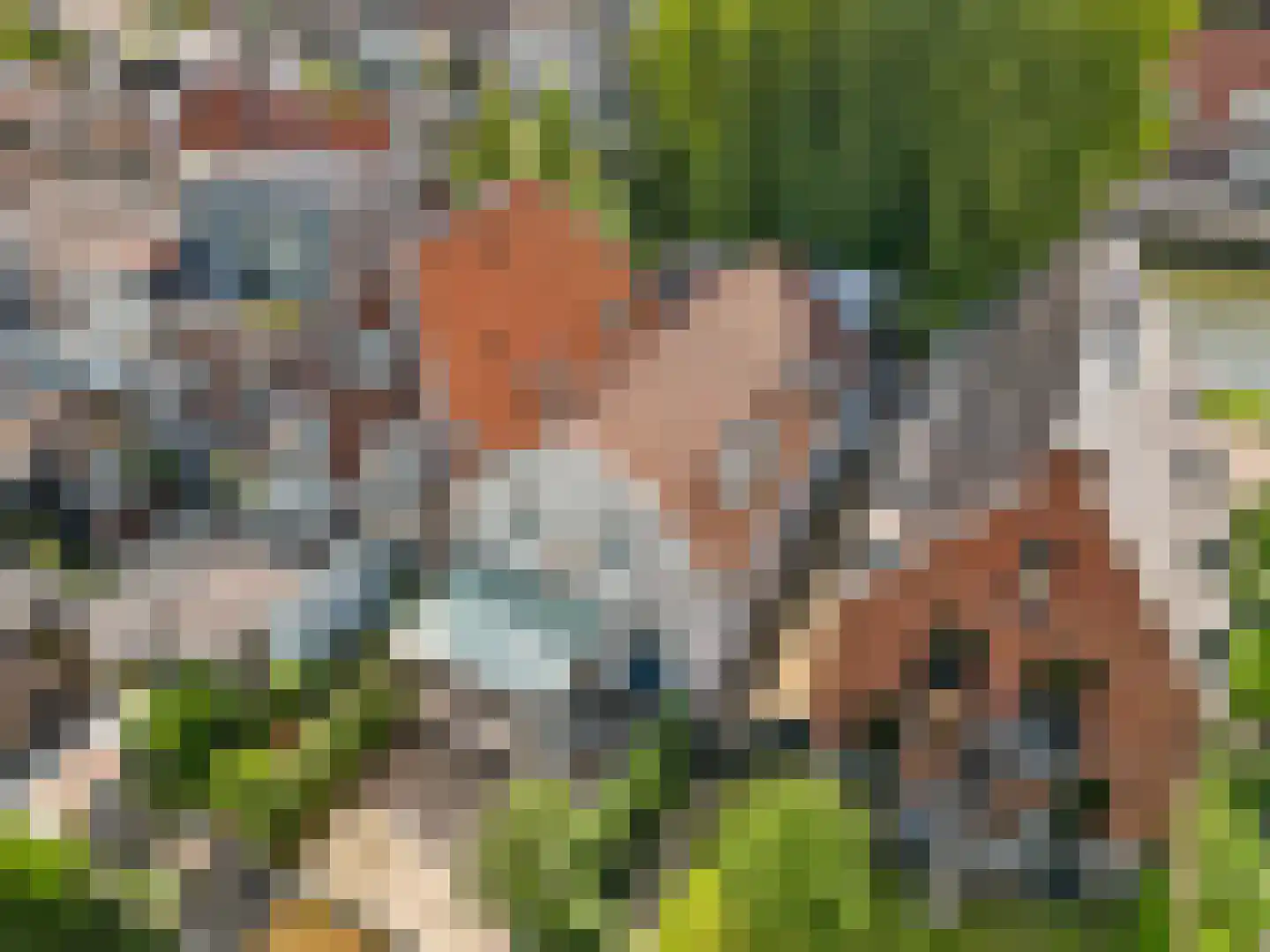 Lauwerecht 157 Utrecht thumbnail 14