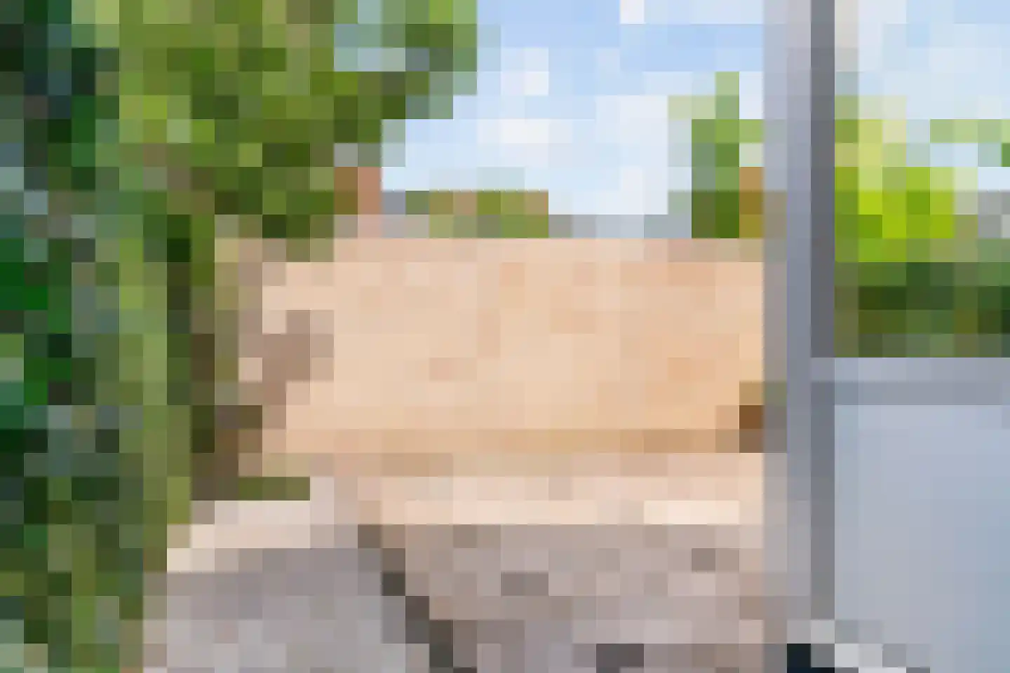 Lauwerecht 157 Utrecht thumbnail 21