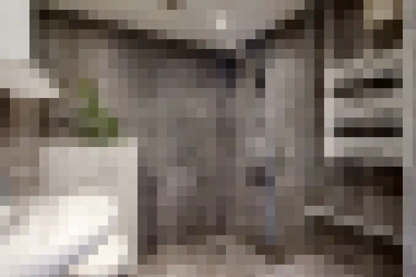 Lauwerecht 157 Utrecht thumbnail 31