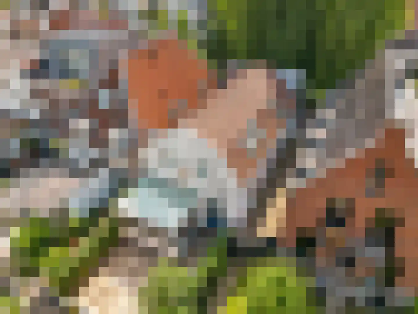 Lauwerecht 157 Utrecht thumbnail 6