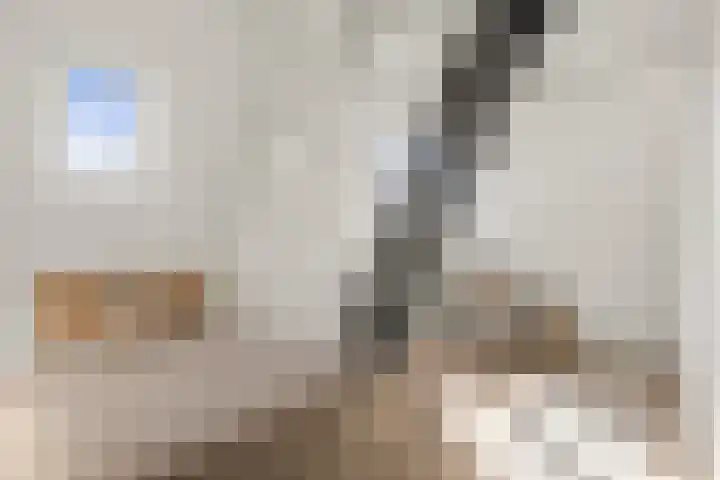 Lauwerecht 20 A Utrecht thumbnail 19