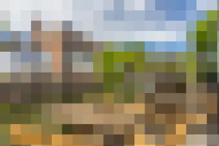 Lauwerecht 20 A Utrecht thumbnail 30
