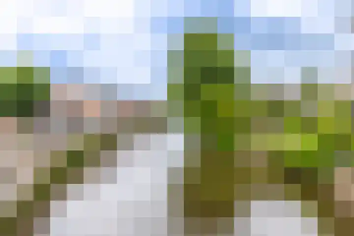 Lauwerecht 20 A Utrecht thumbnail 31