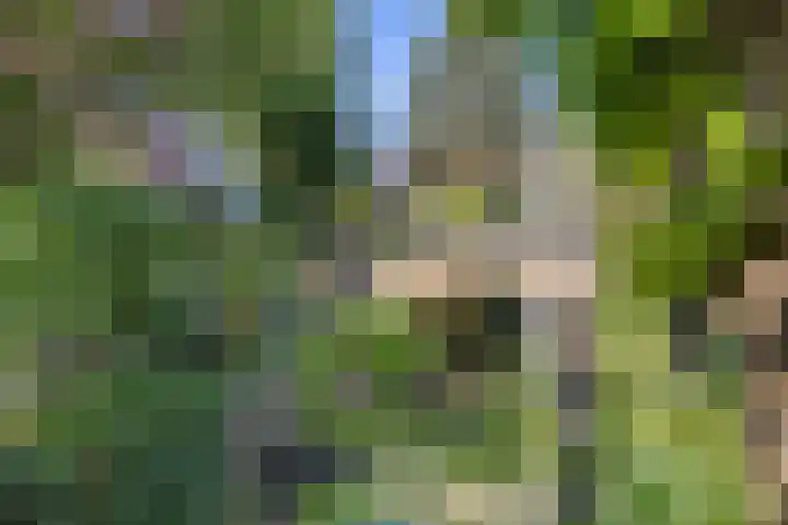 Lauwerecht 20 A Utrecht thumbnail 32