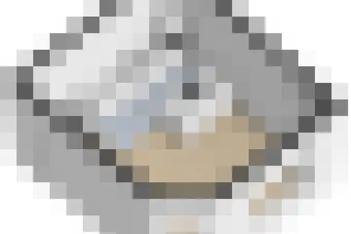 Lauwerecht 20 A Utrecht thumbnail 34