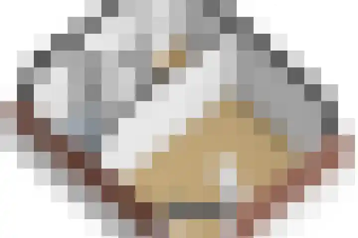 Lauwerecht 20 A Utrecht thumbnail 36