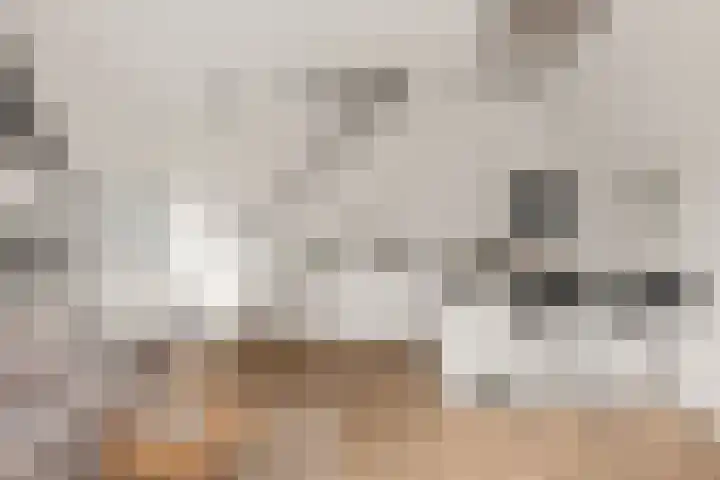 Lauwerecht 20 A Utrecht thumbnail 6