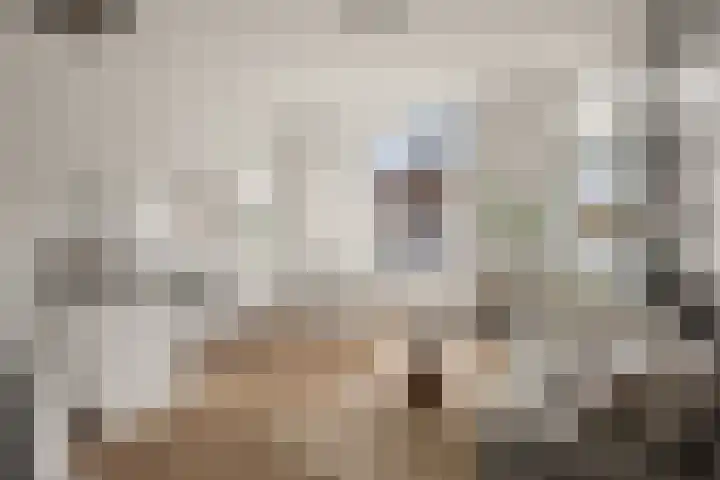 Lauwerecht 20 A Utrecht thumbnail 7