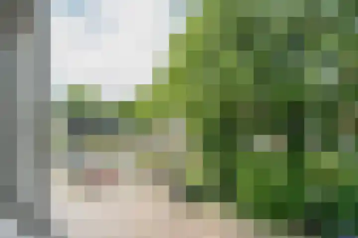 Lauwerecht 235 A Utrecht thumbnail 14