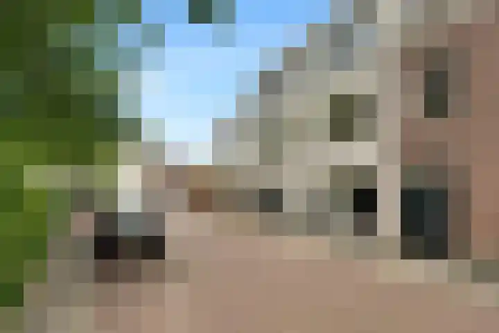 Lauwerecht 235 A Utrecht thumbnail 23