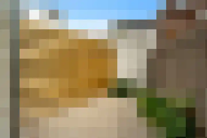 Lauwerecht 235 Utrecht thumbnail 18