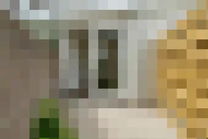 Lauwerecht 235 Utrecht thumbnail 19