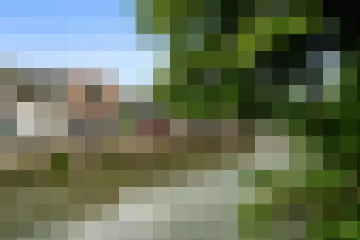 Lauwerecht 235 Utrecht thumbnail 23