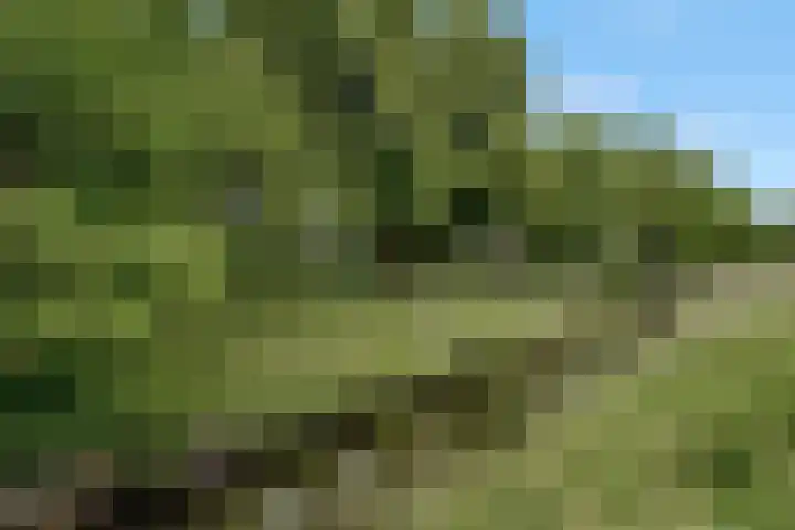 Lauwerecht 235 Utrecht thumbnail 25