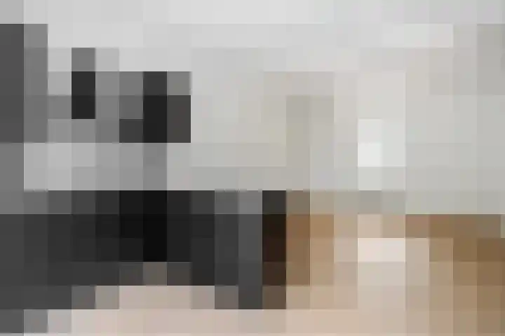 Lauwerecht 237 Utrecht thumbnail 11