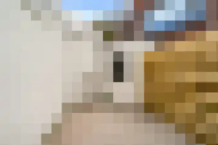 Lauwerecht 237 Utrecht thumbnail 18
