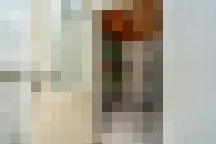 Lauwerecht 237 Utrecht thumbnail 19