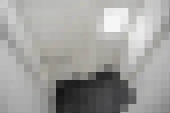 Lauwerecht 237 Utrecht thumbnail 5