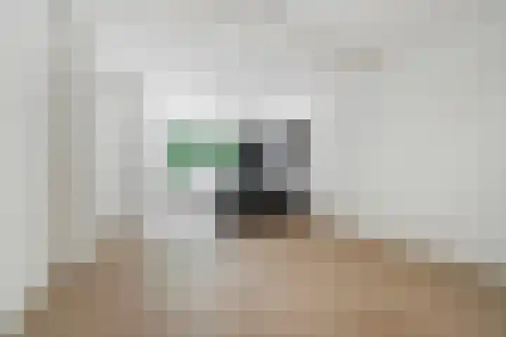 Lauwerecht 237 Utrecht thumbnail 7