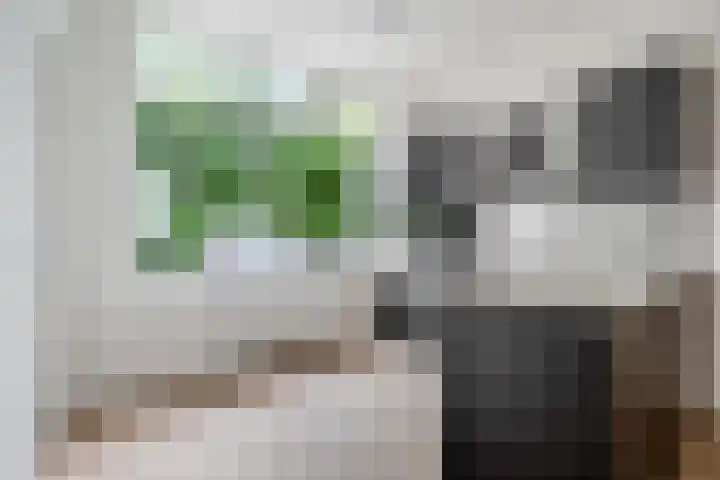 Lauwerecht 237 Utrecht thumbnail 9