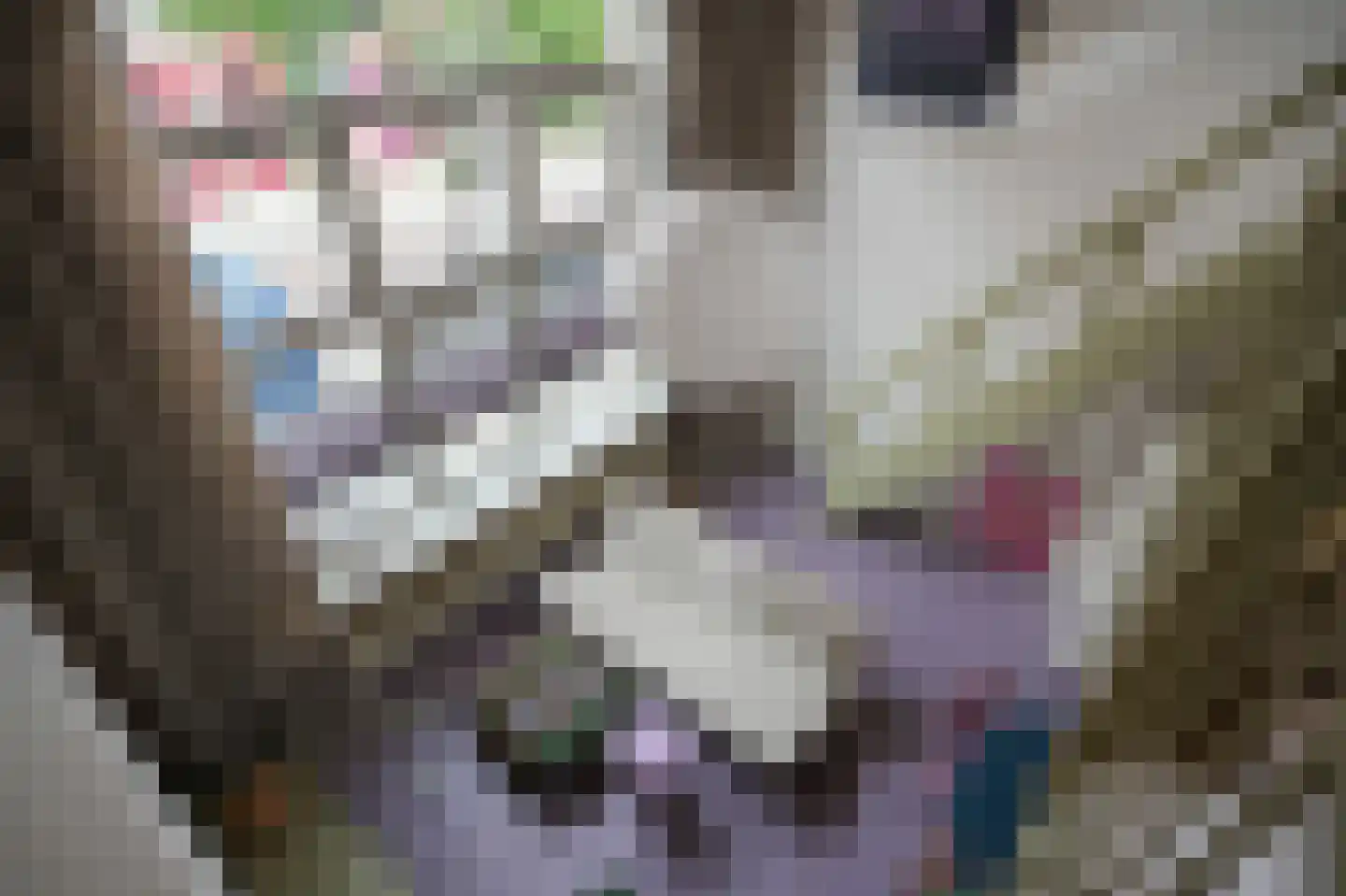 Lauwerecht 59 Utrecht thumbnail 19