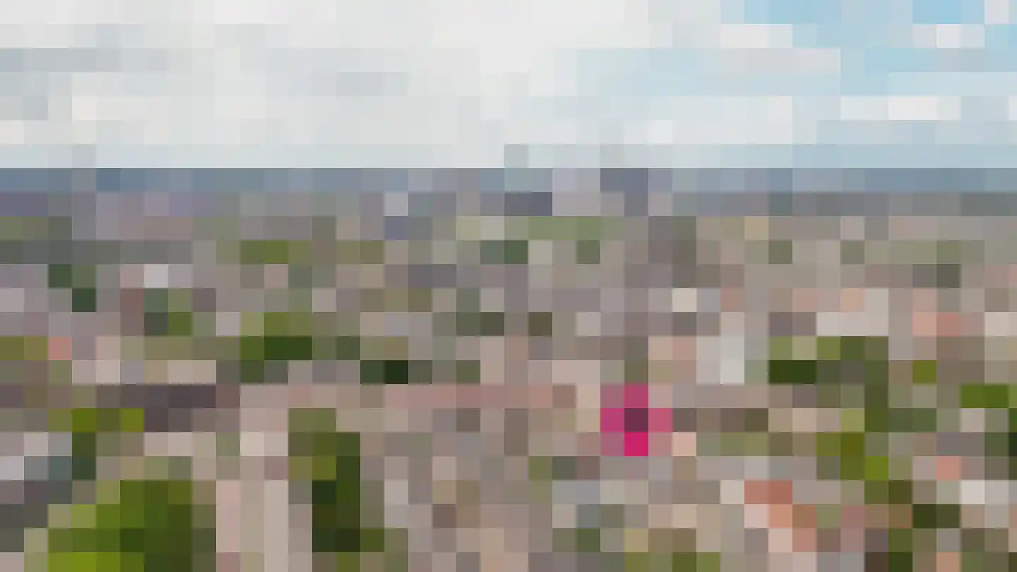 Lauwerecht 59 Utrecht thumbnail 33