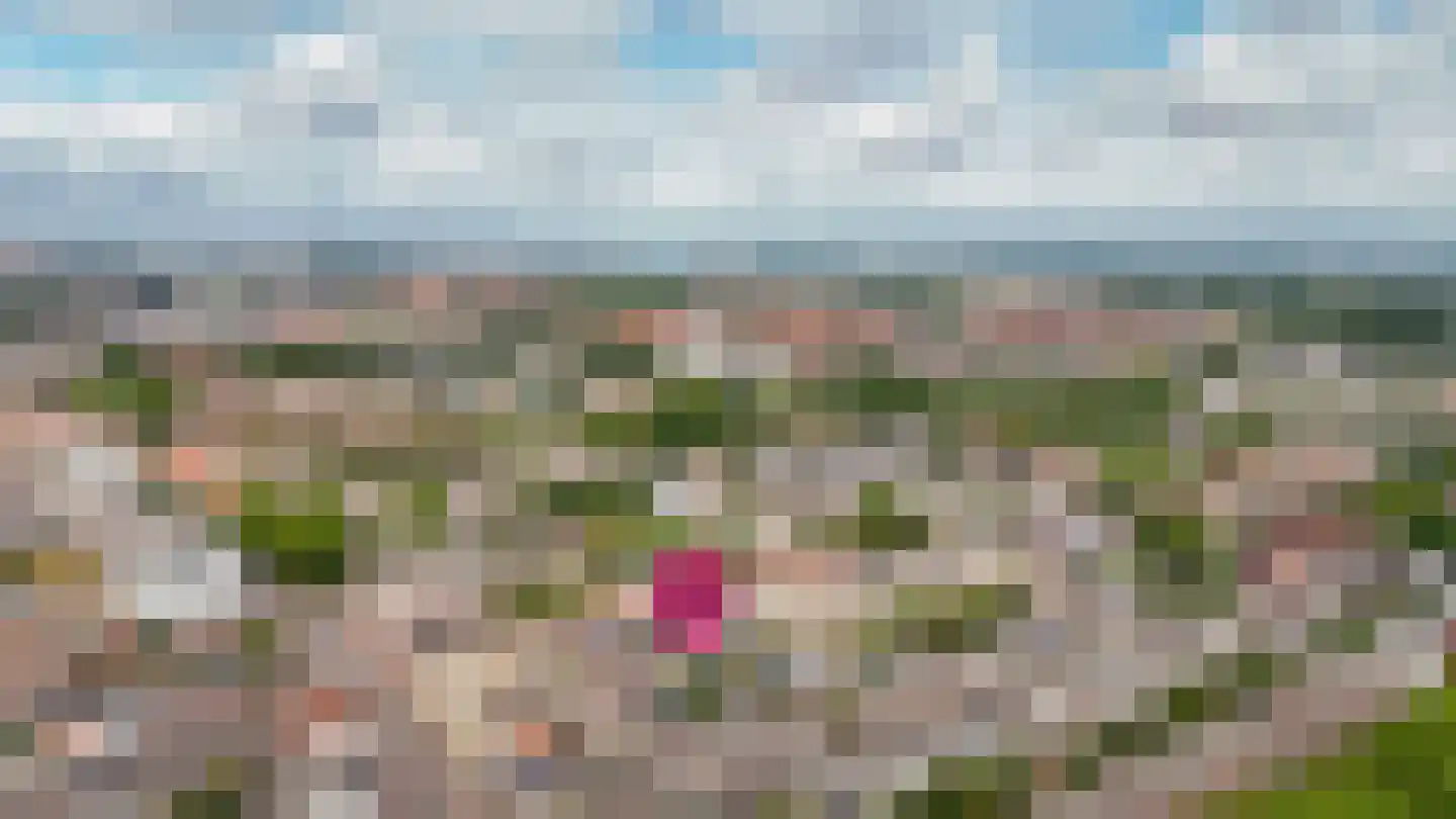 Lauwerecht 59 Utrecht thumbnail 34