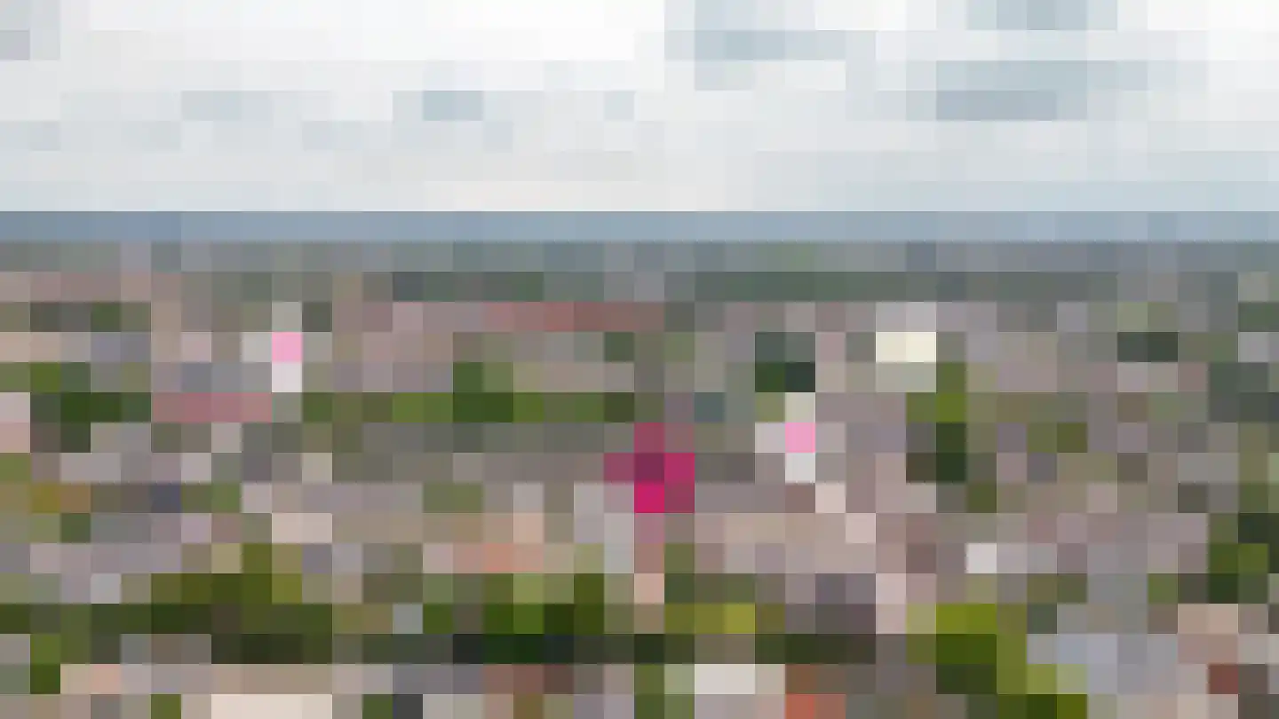 Lauwerecht 59 Utrecht thumbnail 35