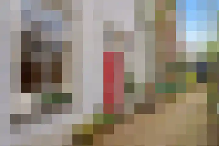 Lauwerecht 68 BS Utrecht thumbnail 47
