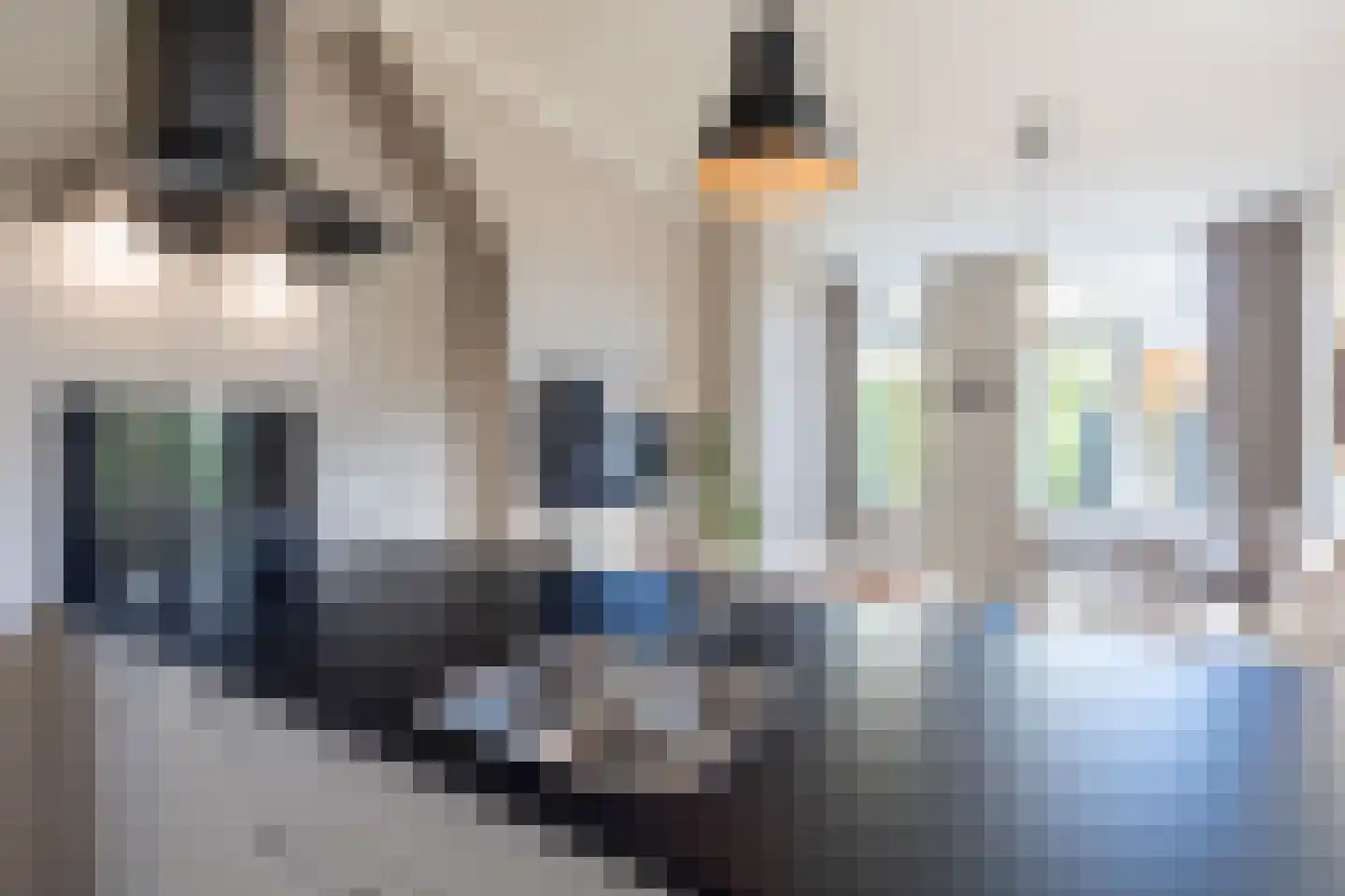 Lauwerecht 69 B Utrecht thumbnail 17