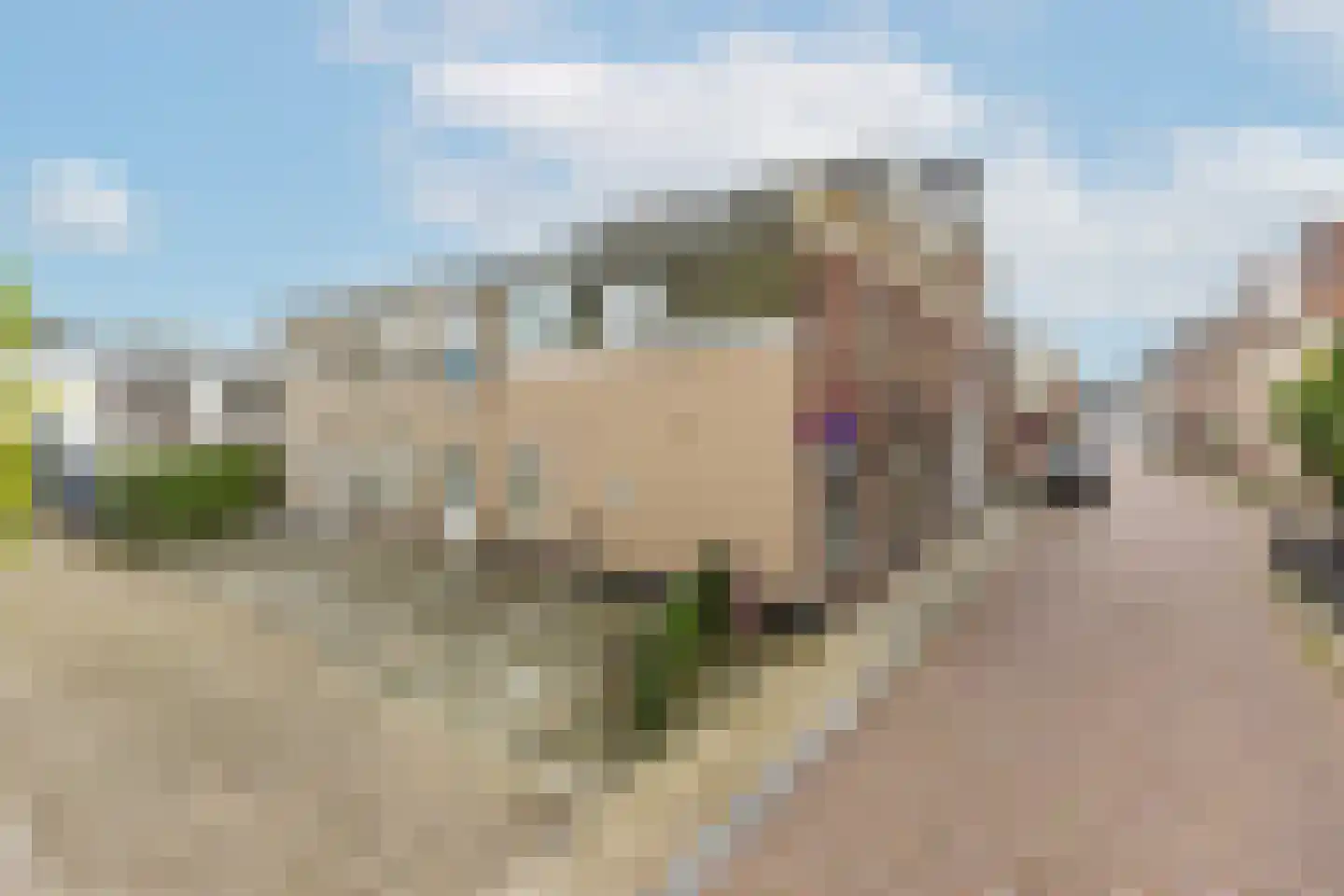 Lauwerecht 69 C Utrecht thumbnail 22