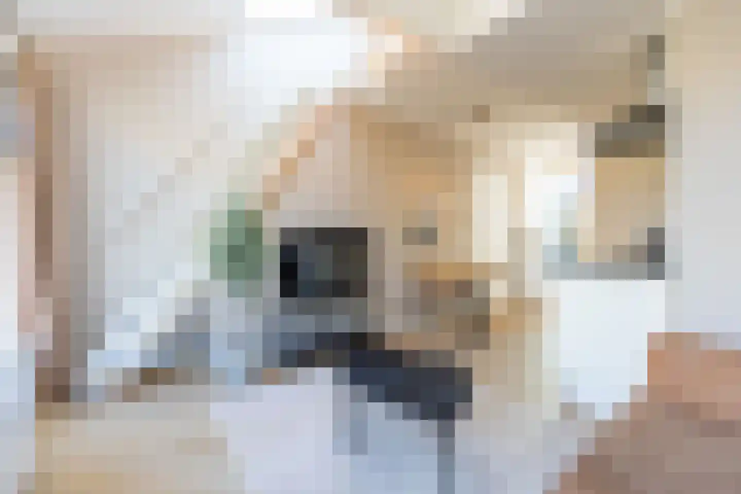 Lauwerecht 69 C Utrecht thumbnail 6