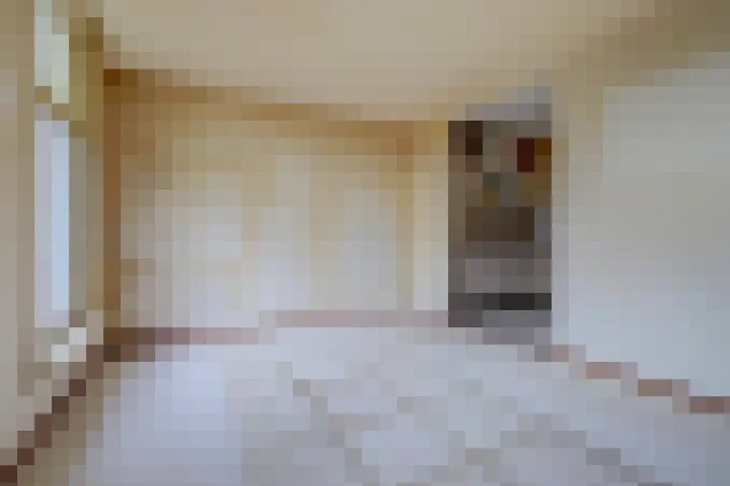 Lauwerecht 78 Utrecht thumbnail 11
