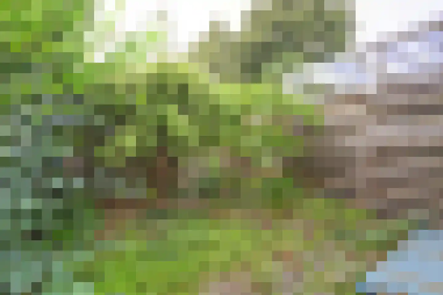 Lauwerecht 78 Utrecht thumbnail 8