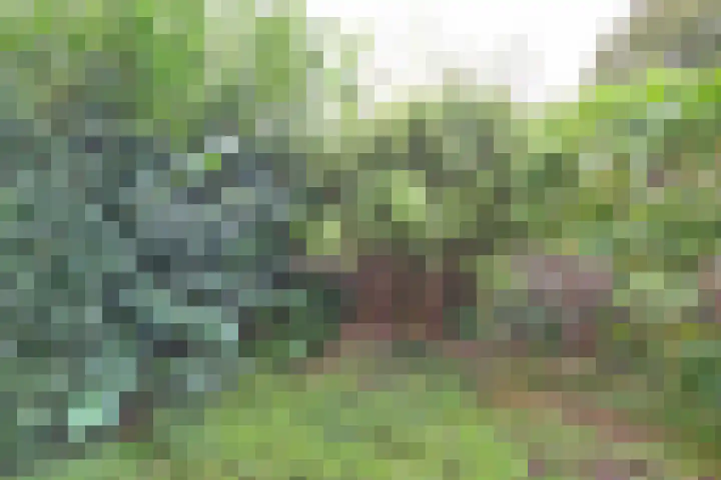 Lauwerecht 78 Utrecht thumbnail 9