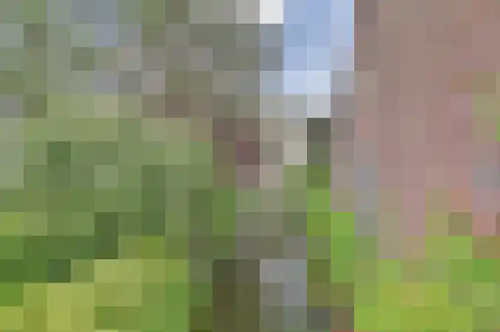 Lauwerecht 8 A Utrecht thumbnail 25