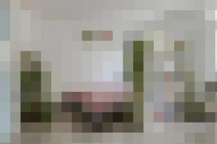 Lauwerecht 88 Utrecht thumbnail 11