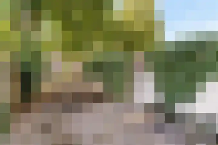 Lauwerecht 88 Utrecht thumbnail 21