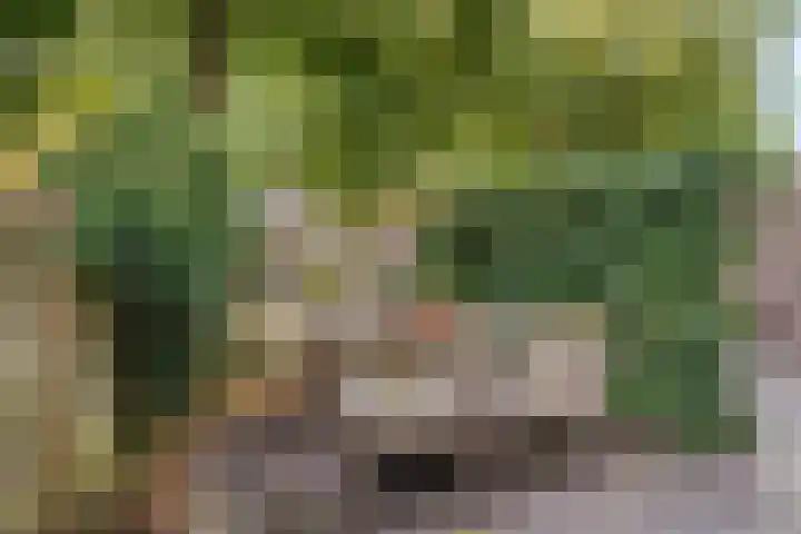 Lauwerecht 88 Utrecht thumbnail 22