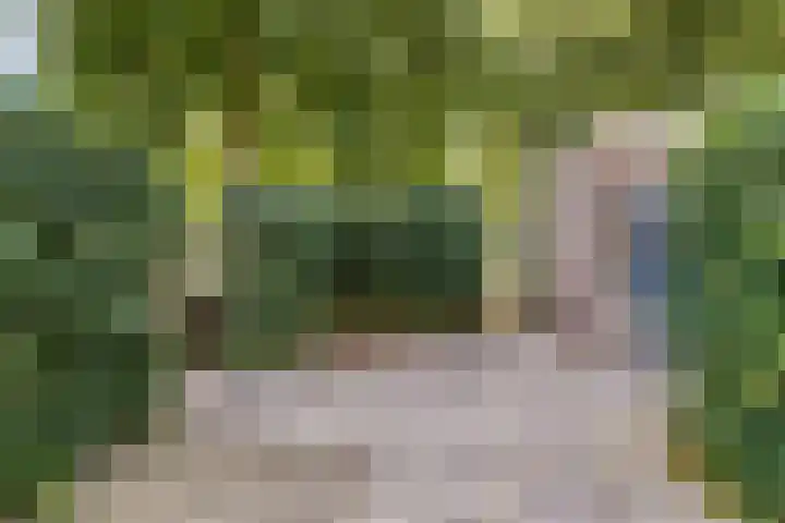 Lauwerecht 88 Utrecht thumbnail 23