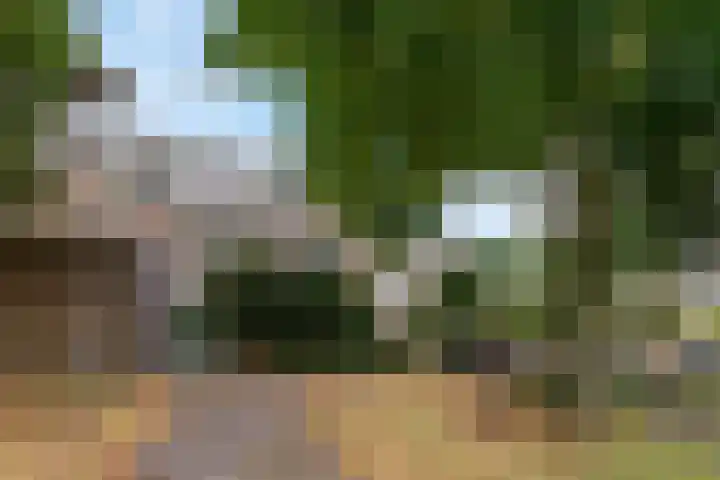 Lauwerecht 88 Utrecht thumbnail 25