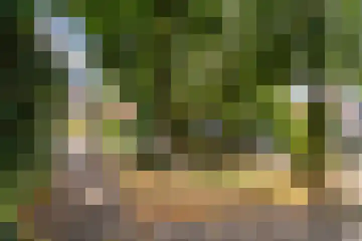 Lauwerecht 88 Utrecht thumbnail 26