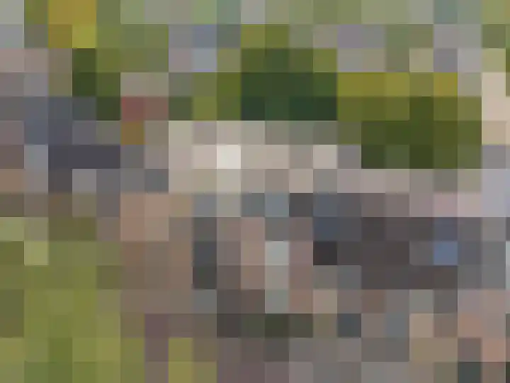 Lauwerecht 88 Utrecht thumbnail 27