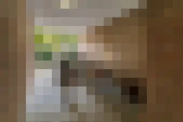Lauwerecht 88 Utrecht thumbnail 28