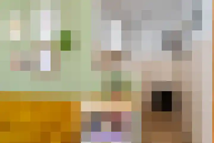 Lauwerecht 88 Utrecht thumbnail 7