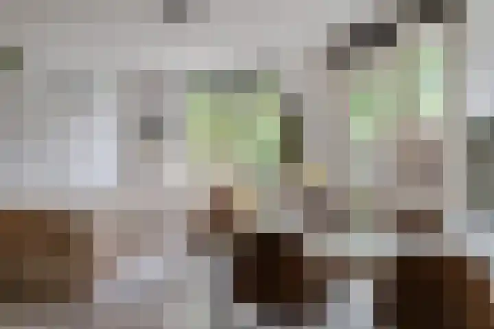 Lauwerecht 88 Utrecht thumbnail 8
