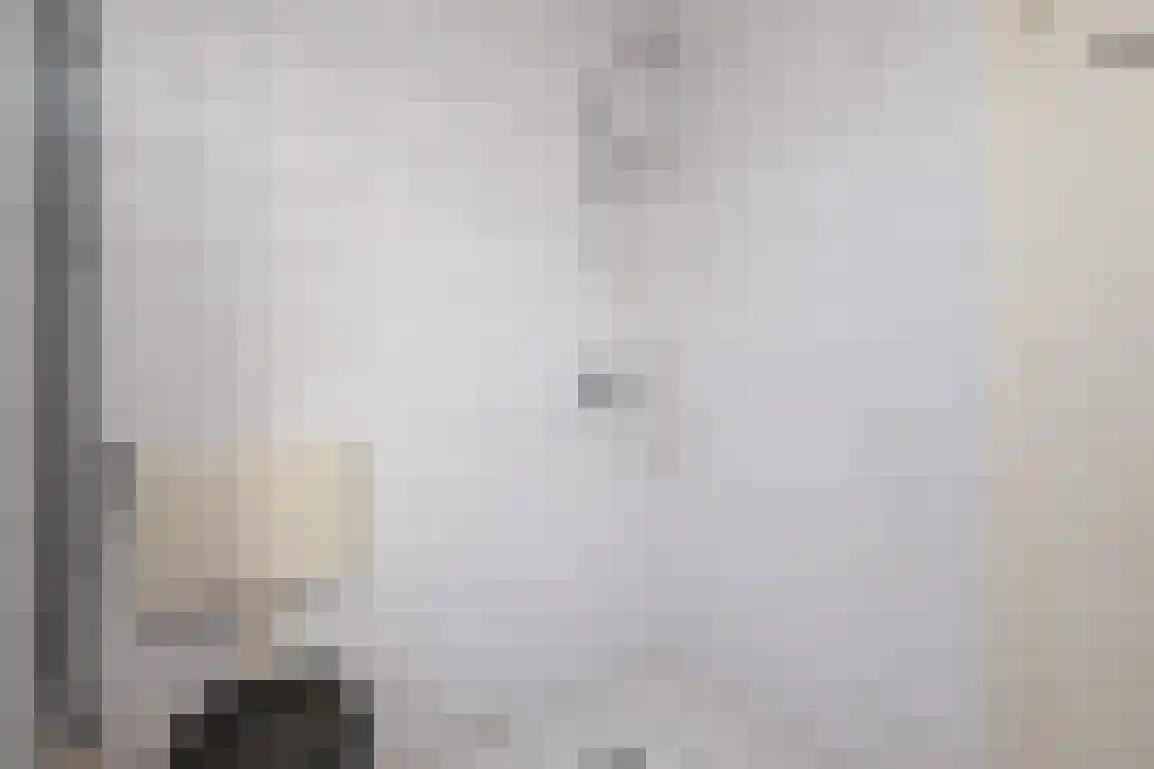 Lauwerijnstraat 13 Nieuwe-Tonge thumbnail 14