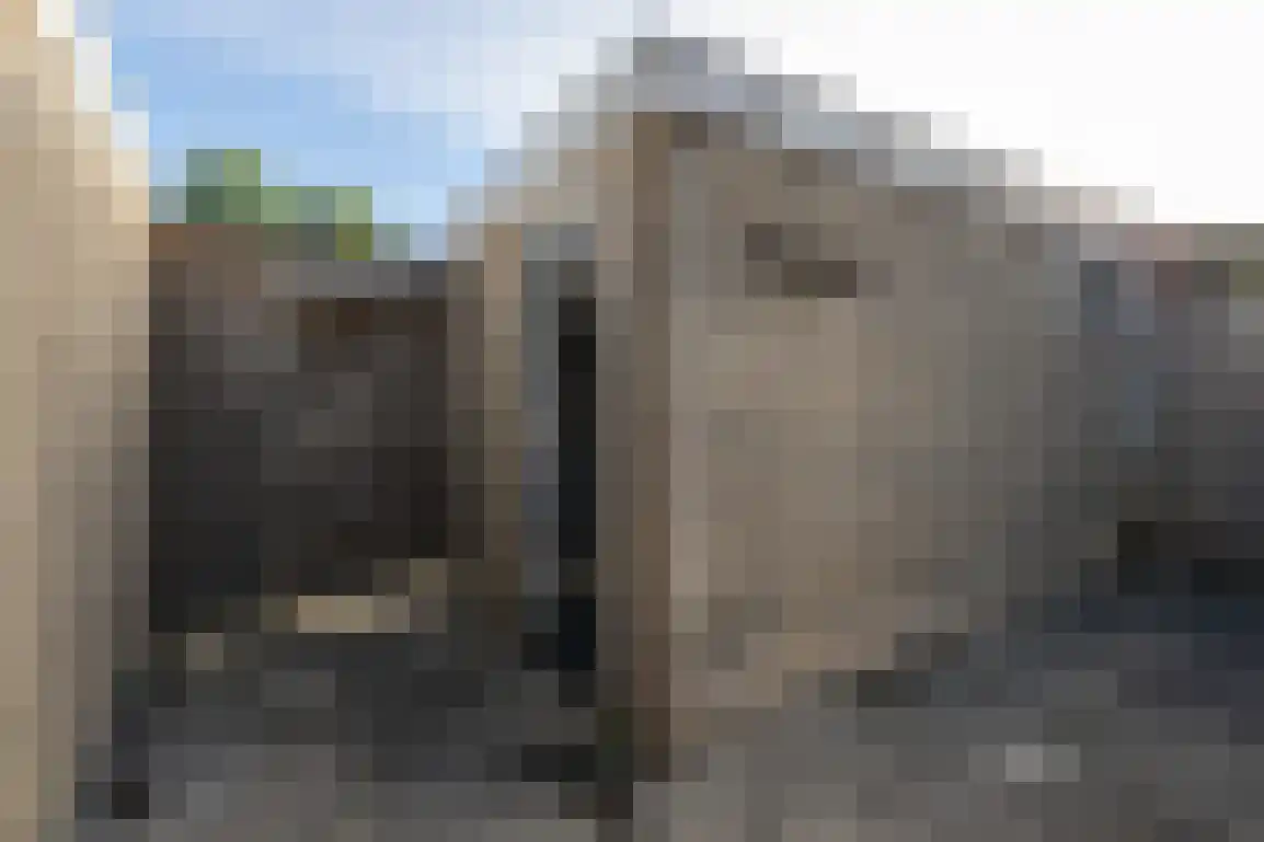 Lauwerijnstraat 13 Nieuwe-Tonge thumbnail 24