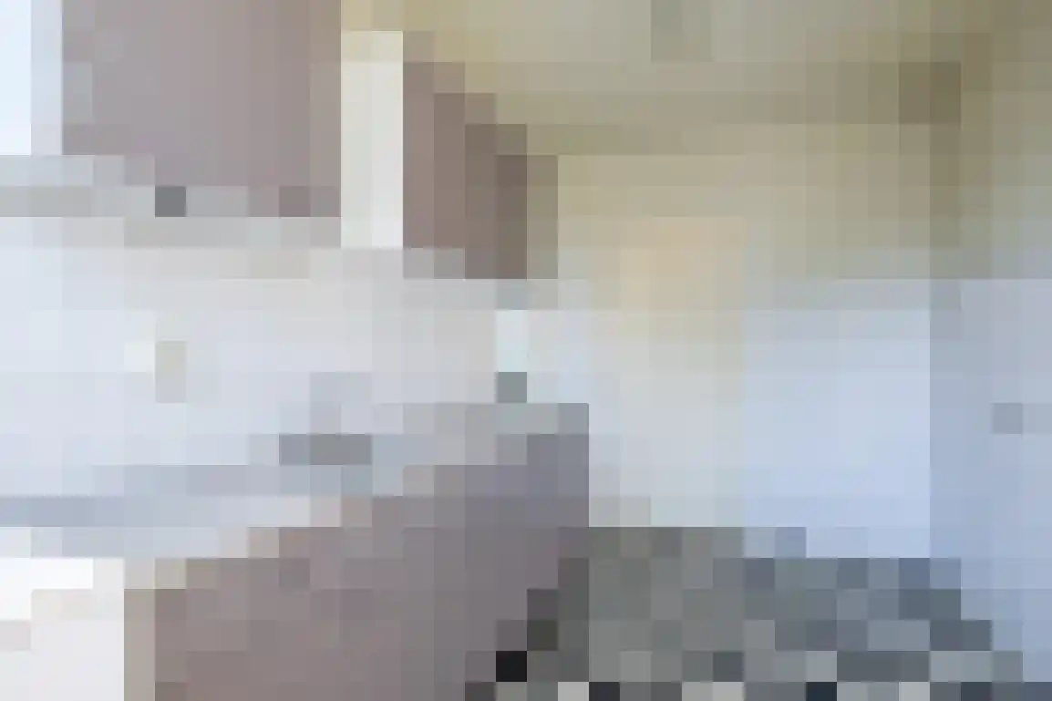 Lauwerijnstraat 13 Nieuwe-Tonge thumbnail 4